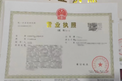 个人独资中医研究院 不带有限公司