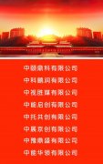 国家局高端中字头 无行业公司