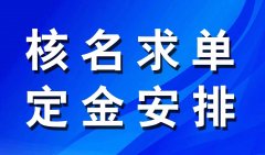 市局疑难核名 随便咨询 随便问